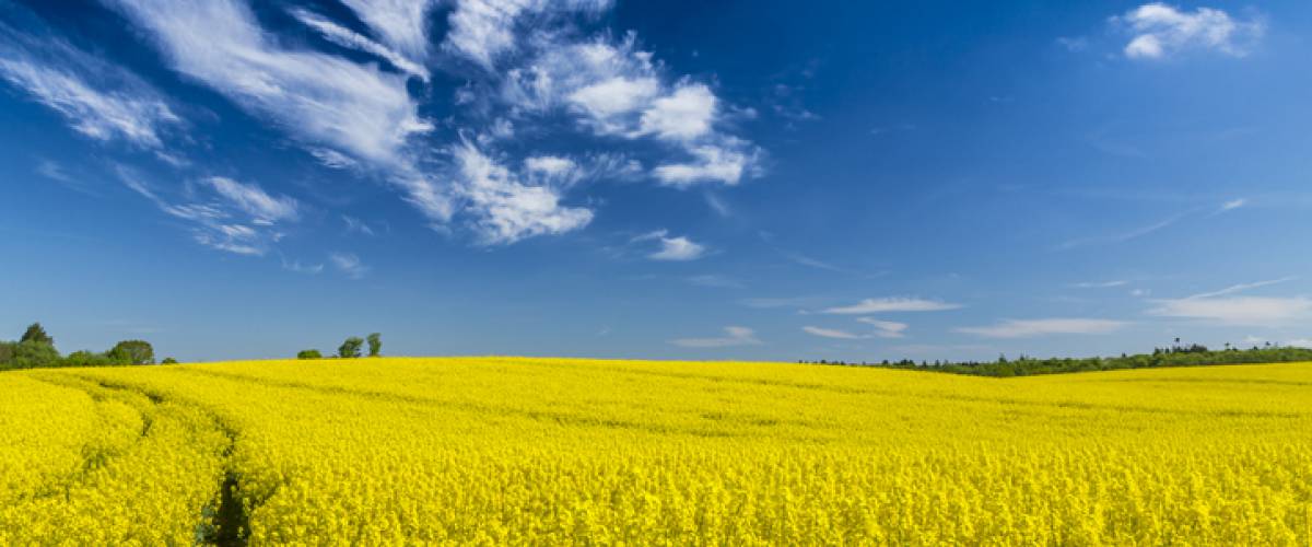 Wir schenken Ihnen 50 Euro im Mai! Symbolfoto