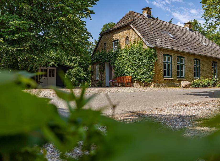 Neue Ferienwohnung: Seepferdchen Symbolfoto