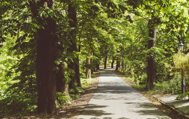 Allee Ostsee