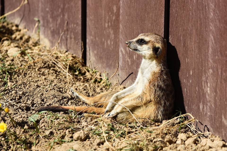 Tierpark Gottorf