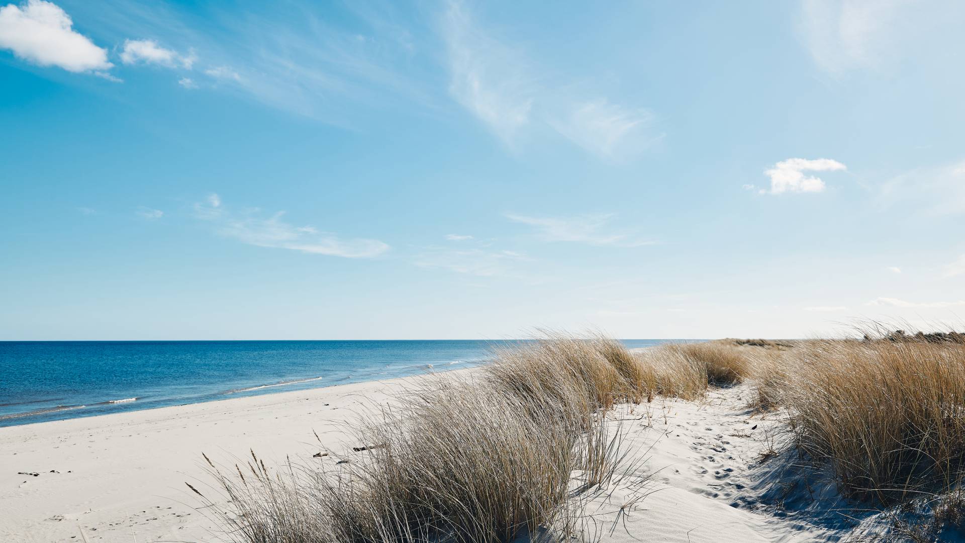 Ostsee Dünen